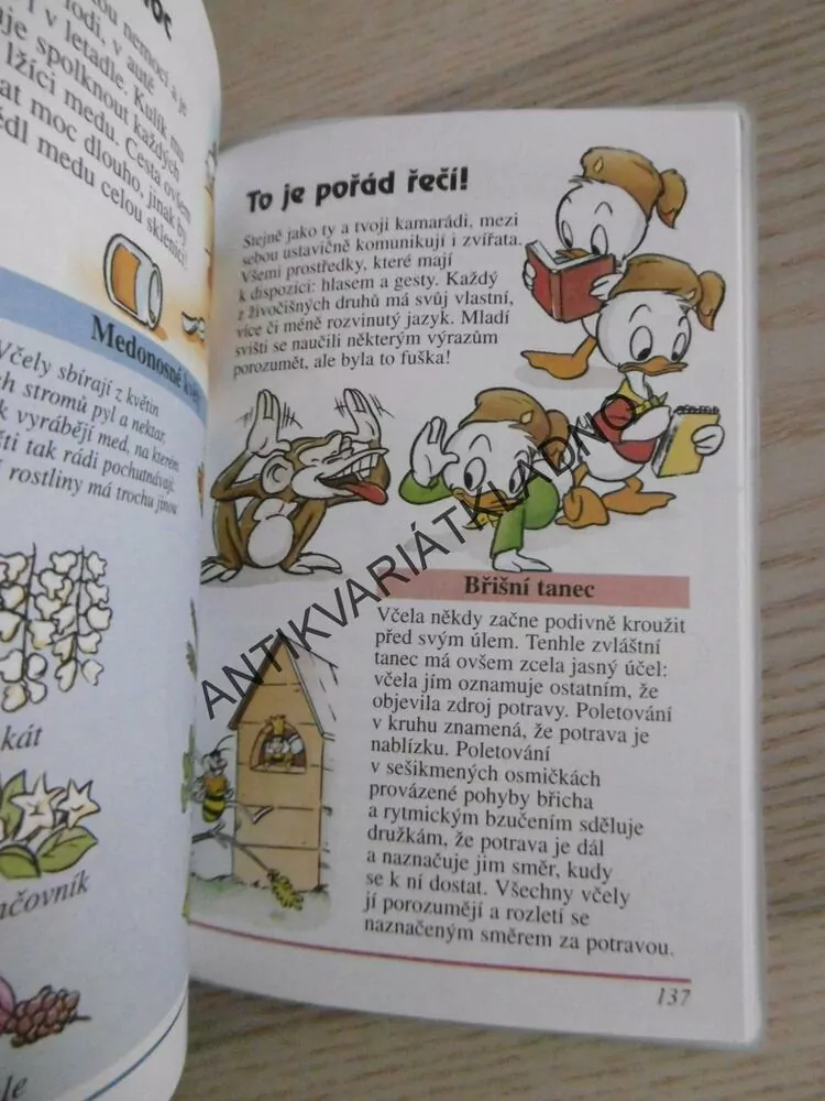 2. ZÁPISNÍK MLADÝCH SVIŠŤŮ, WALT DISNEY, **an