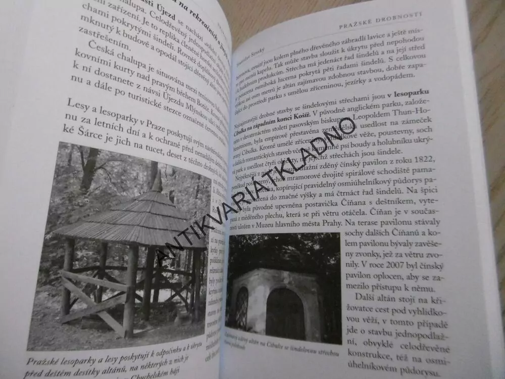 PRAŽSKÉ DROBNOSTI ANEB KOUZELNÉ MALIČKOSTI, STANISLAV SRNSKÝ, **an