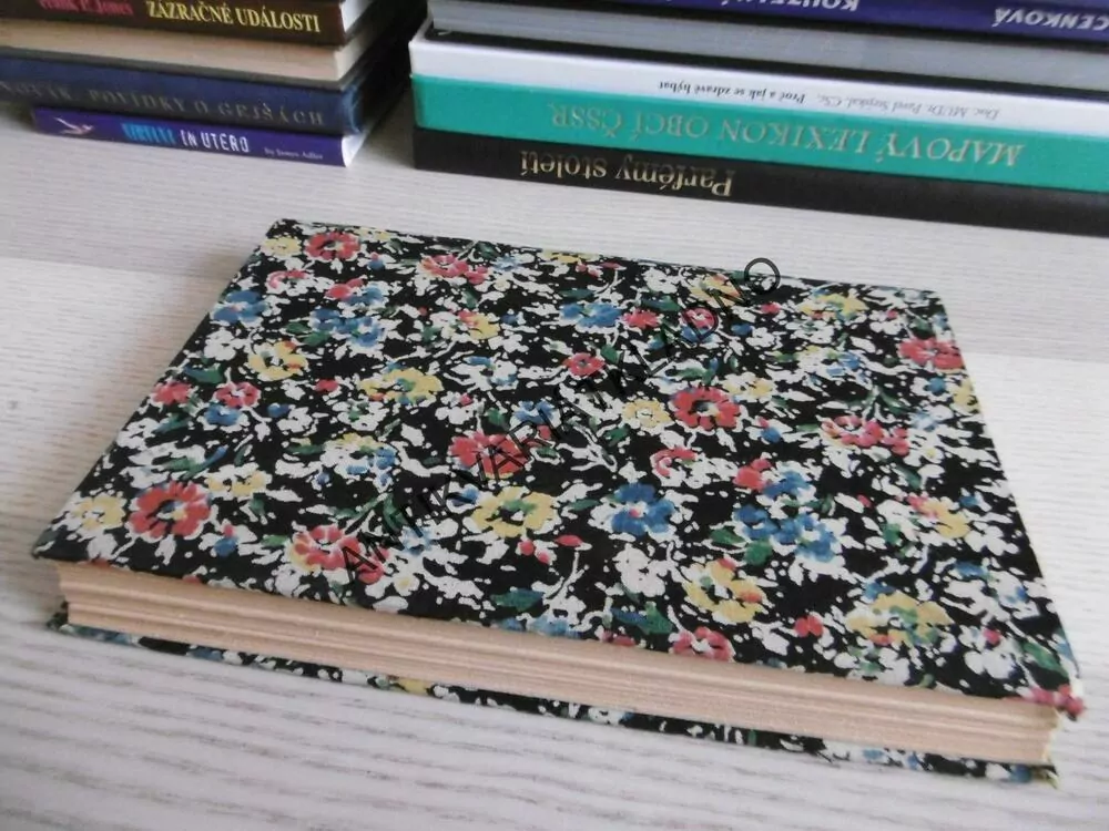 ZÁZNAMY Z BUCHENWALDU, LEV SYCHRAVA, **an