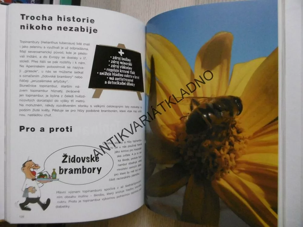 POD POKLIČKOU 3, POPELKY V ČESKÉ KUCHYNI, MONIKA HORSÁKOVÁ, KAMILA TESLÍKOVÁ, JANA STRÝČKOVÁ, **an