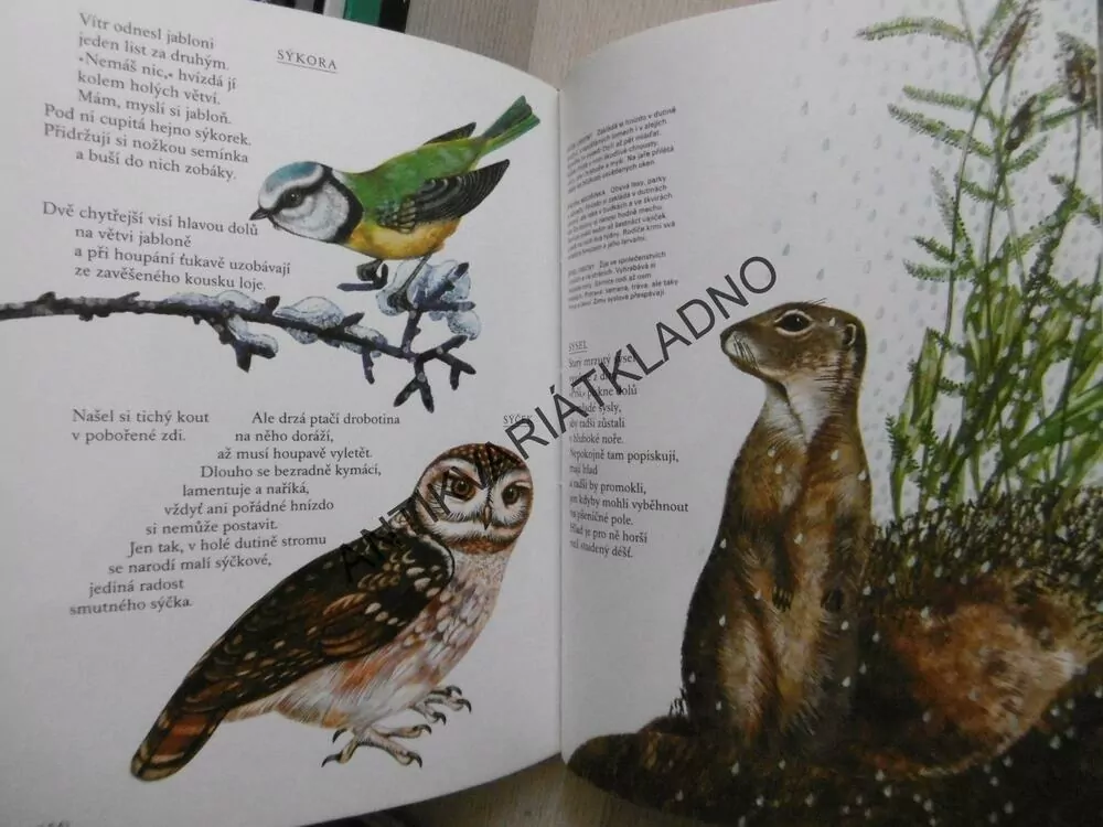 VELKÁ OBRÁZKOVÁ KNÍŽKA O ZVÍŘATECH, MILENA LUKEŠOVÁ, BOHUMIL ŘÍHA, **an