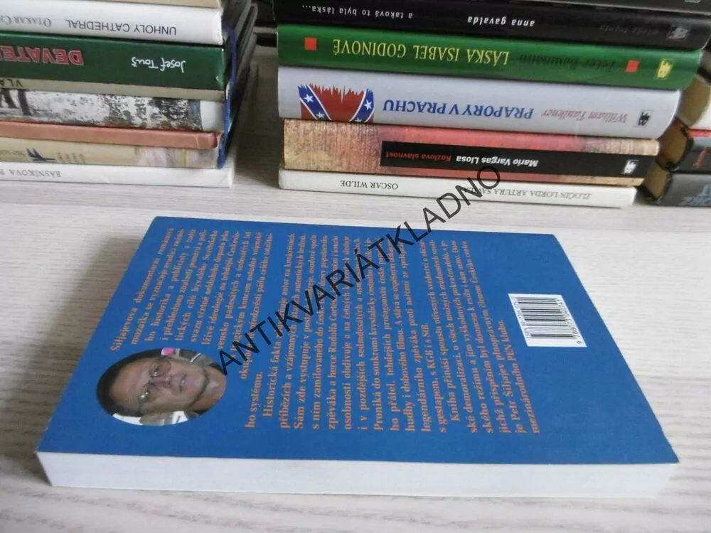 LEHKÁ NOSTALGIE PO TĚŽKÝCH ČASECH, PETR ŠILJAJEV, **an