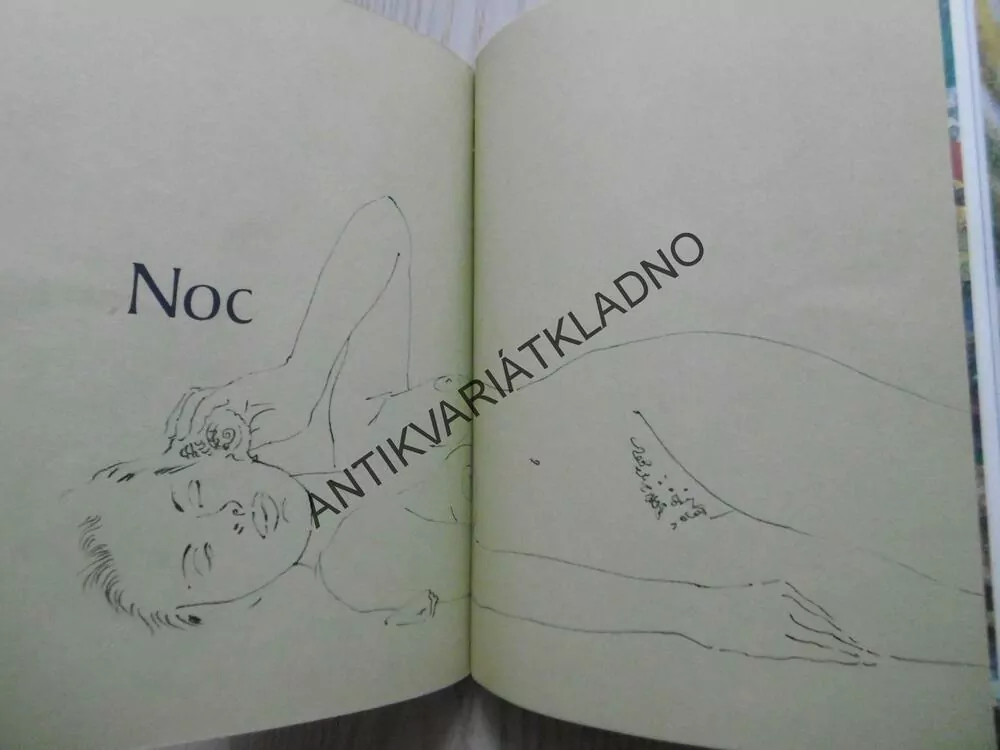 STO SONETŮ O LÁSCE, PABLO NERUDA, **an