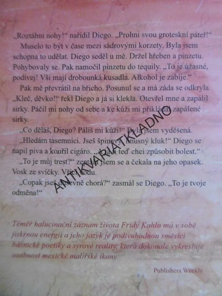 ZAŘÍKÁVÁNÍ FRIDY K., KATE BRAVERMANOVÁ, **an