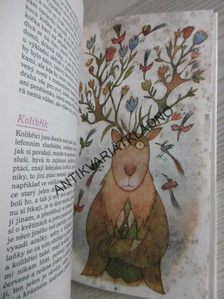 LÁSKA A DĚLOVÉ KOULE, MILOŠ MACOUREK, **an