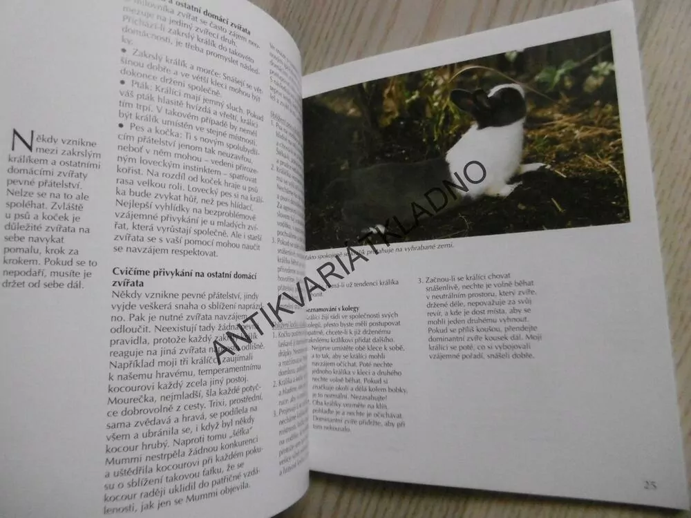 ZAKRSLÝ KRÁLÍK, MONIKA WEGLEROVÁ, **an