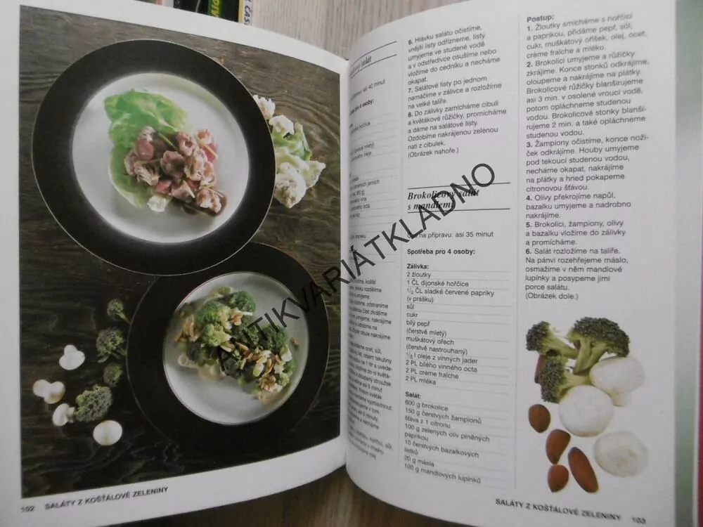 SALÁTY, VÍCE NEŽ 100 RECEPTŮ, PETER NIKOLAY, **an