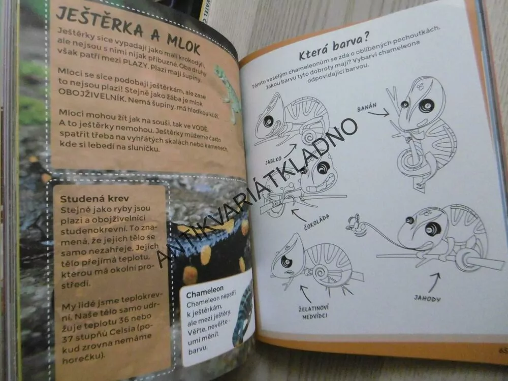 DIVOKÁ ZVÍŘATA, **an