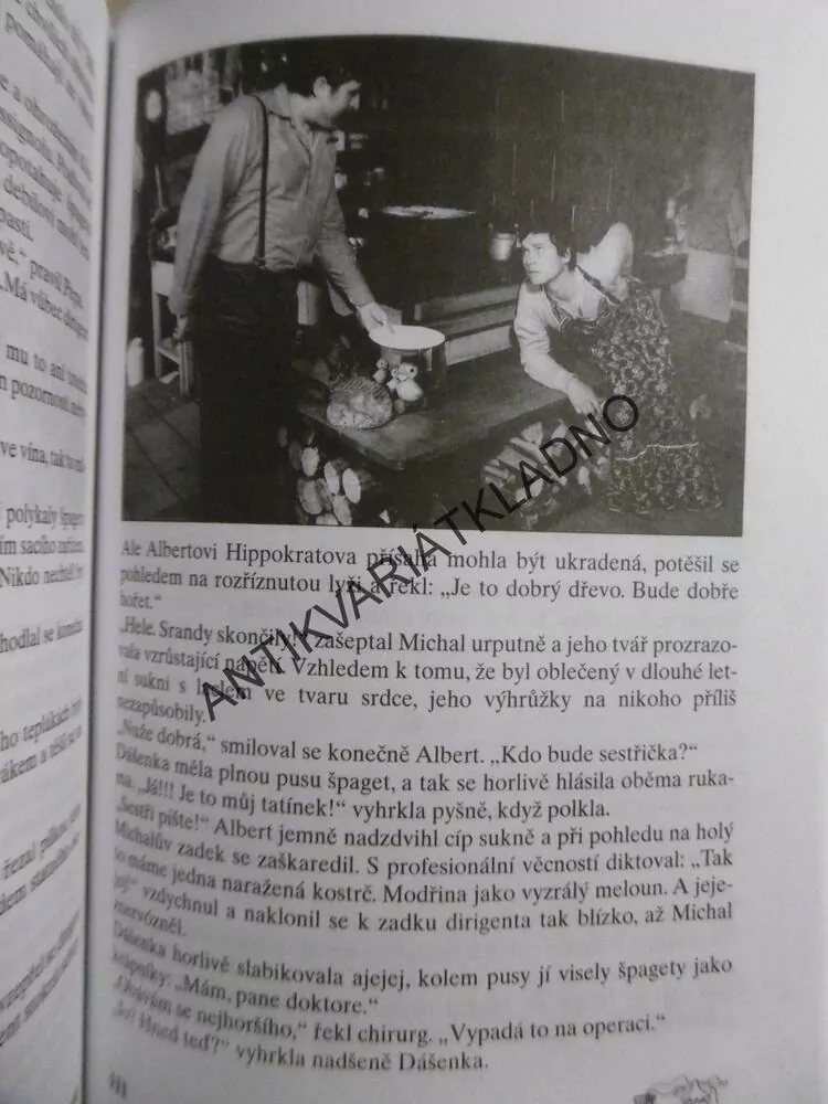 S TEBOU MĚ BAVÍ SVĚT, MARIE POLEDŇÁKOVÁ, **an