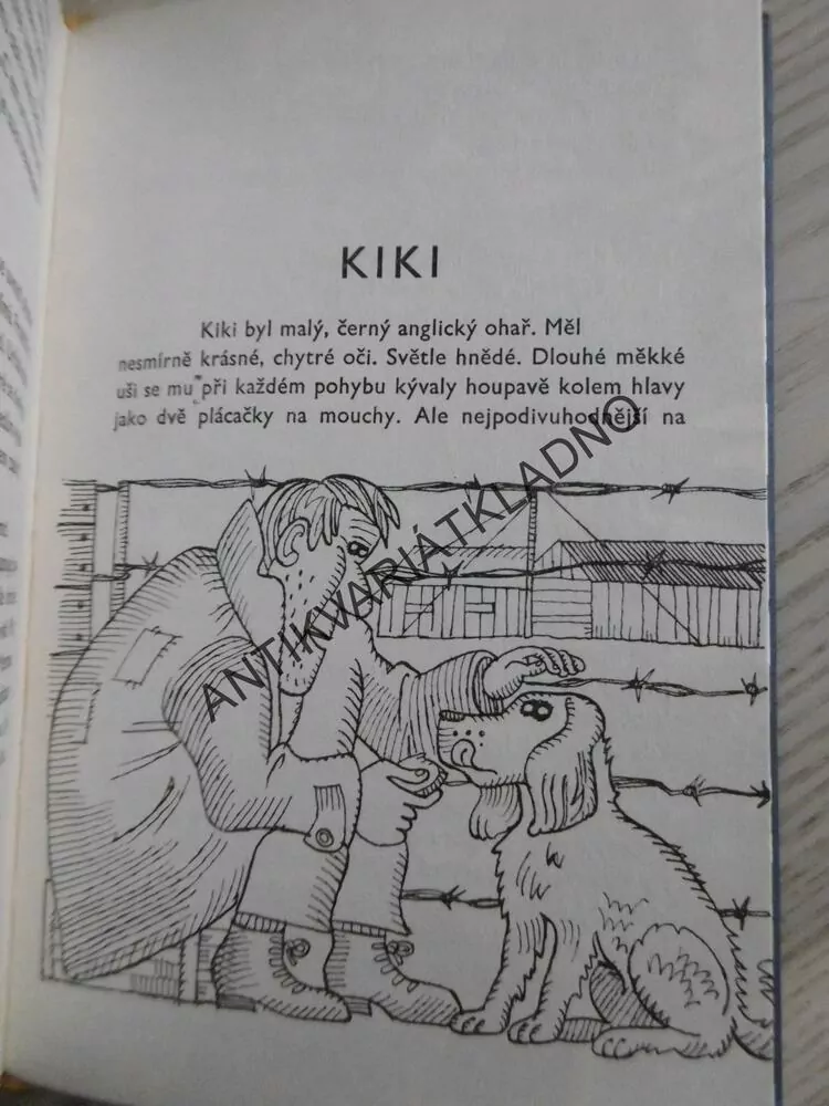 BUMMI, POVÍDKY O ZVÍŘATECH PRO VELKÉ I MALÉ DĚTI, FRIEDRICH WOLF, **an
