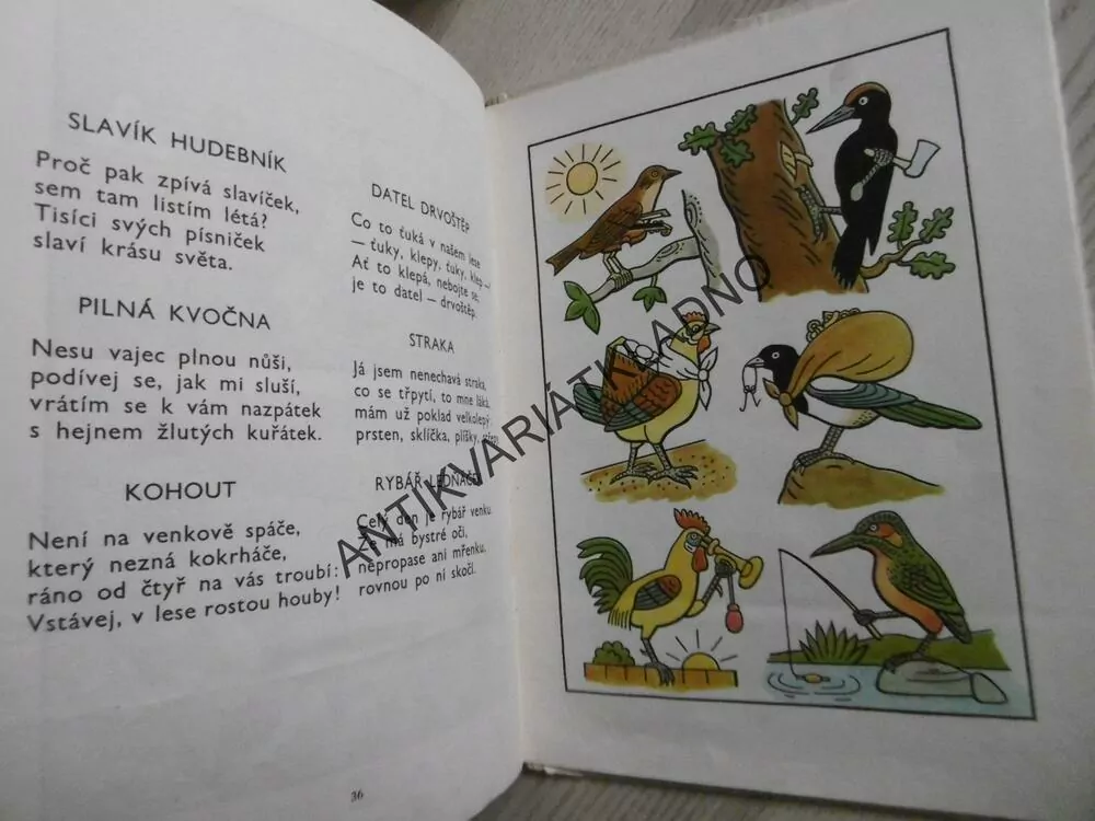 LADŮV VESELÝ PŘÍRODOPIS, FRANTIŠEK HRUBÍN, JOSEF LADA, **an