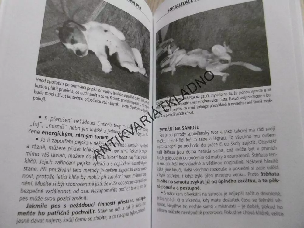 PES PRO RADOST, EVA SOUKUPOVÁ A KOLEKTIV, **an
