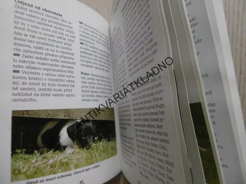 FOXTERIÉR, VÝBĚR, VÝCHOVA, PÉČE, LIESEL BAUMGARTOVÁ, **an