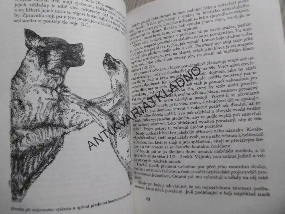 NÁŠ PES A JEHO SVĚT, ALOIS MIKULA, **an