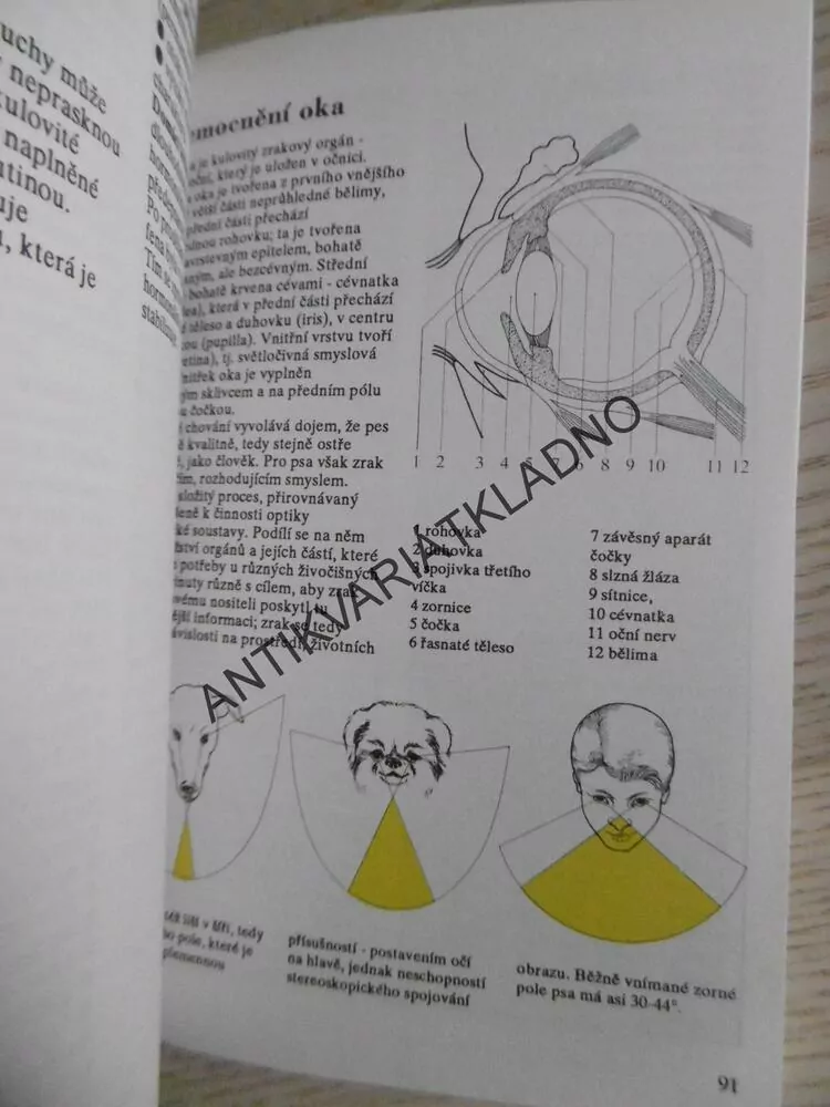 PES A DOMÁCÍ LÉKAŘ, VÁCLAV NAXERA, **an