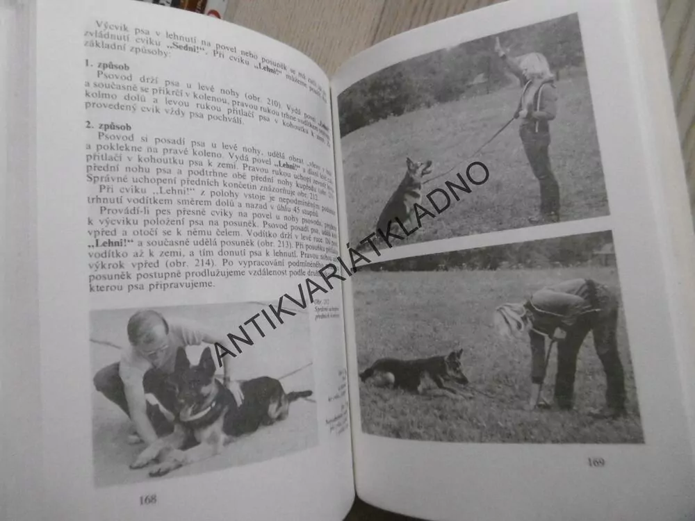 PES A JEHO VÝCVIK, J. HRUŠOVSKÝ A KOLEKTIV, **an
