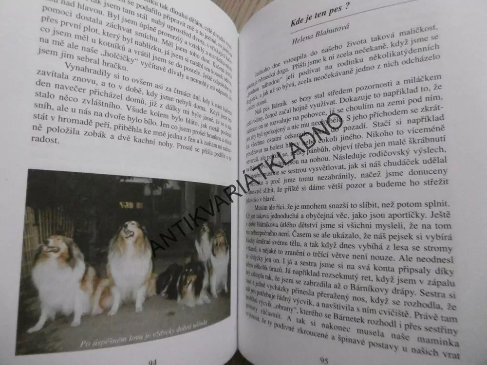 PSÍ ŽIVOT, SKUTEČNÉ PŘÍBĚHY, AUTENTICKÉ FOTOGRAFIE, **an