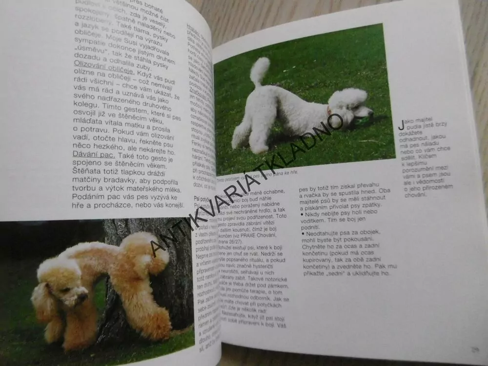 PUDL, KATRIN BEHRENDOVÁ, **an