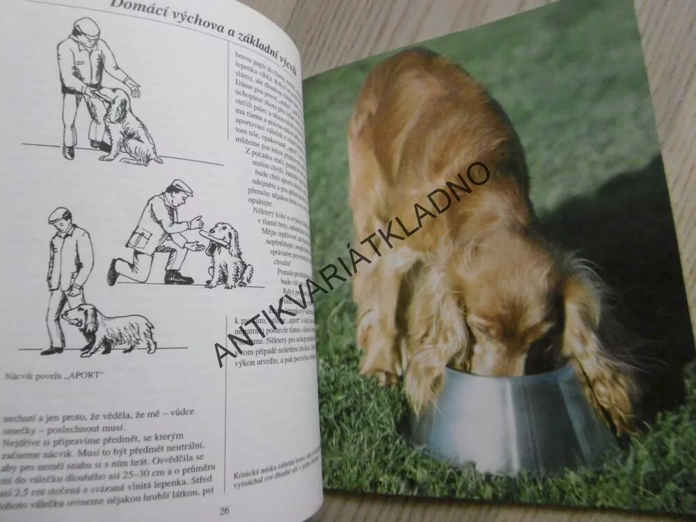 KOKRŠPANĚL, LUDĚK J. DOBRORUKA, **an