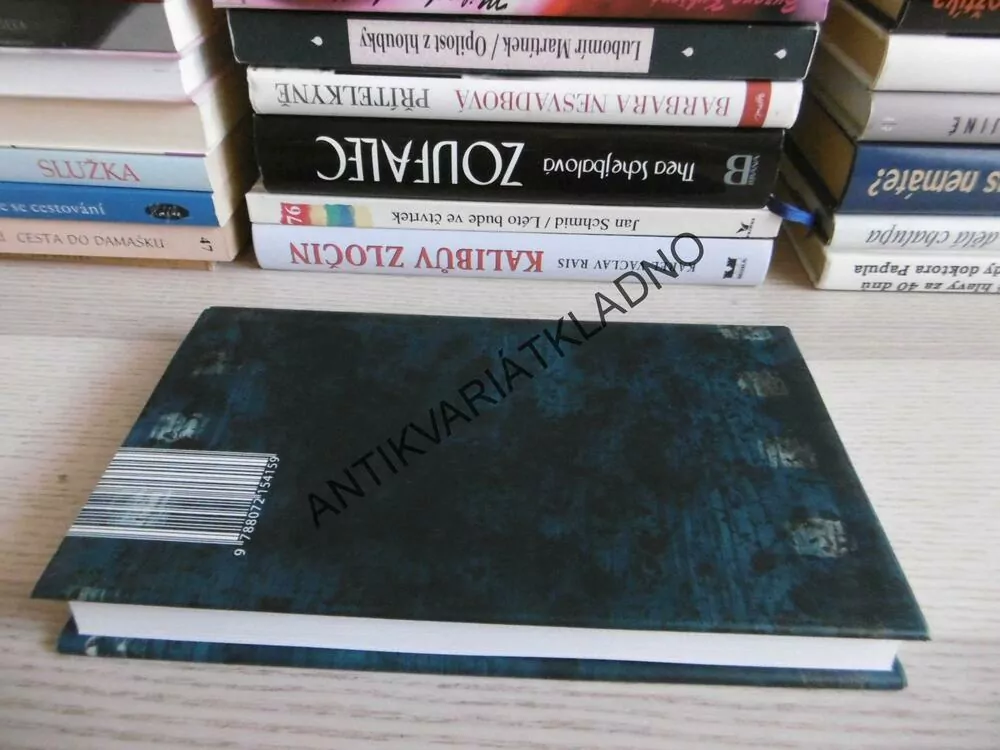 NEPODÁVEJ RUKU ČÍŠNÍKOVI, JAN NĚMEC, **an