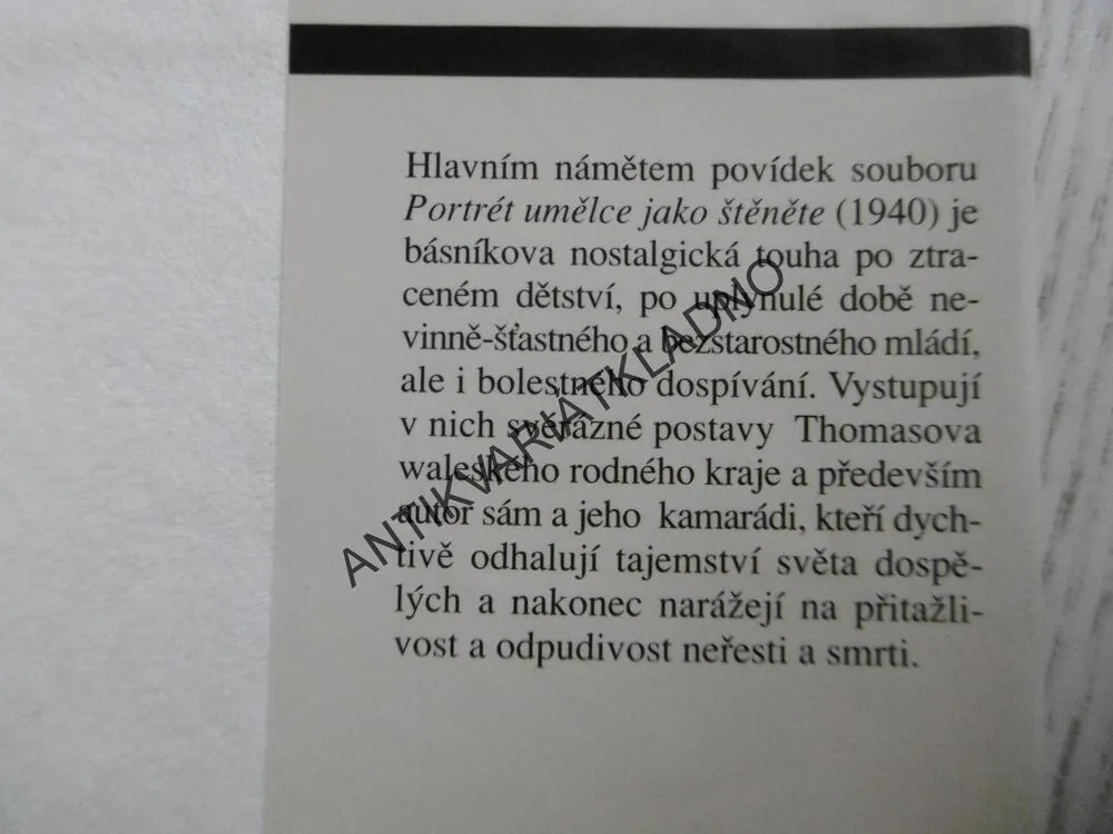 PORTRÉT UMĚLCE JAKO ŠTĚNĚTE, DYLAN THOMAS, **an