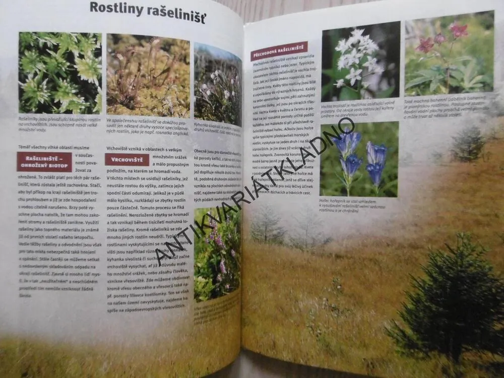 KVĚTINY V PŘÍRODĚ, EDICE CO JAK PROČ, SV.49 **an
