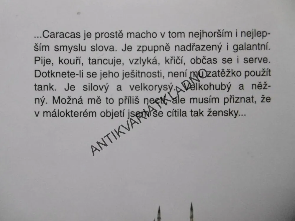 I MĚSTA MAJÍ DUŠI, MILENA HOLCOVÁ, **an