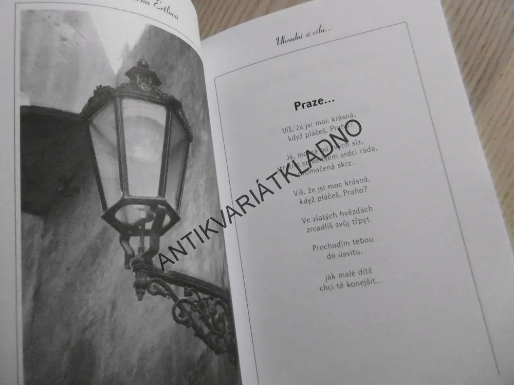 UKRADNI SI VÍLU..., MIRKA ERTLOVÁ