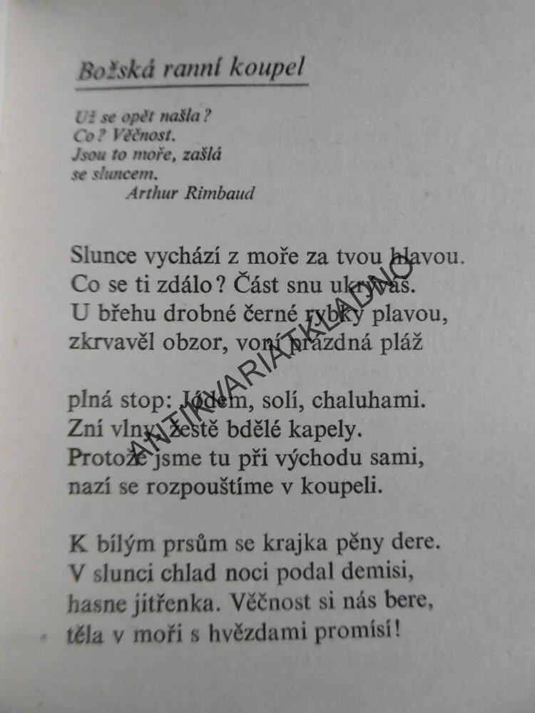 PRŮVODKYNĚ CIZINCŮ, PETR SKARLANT, **an