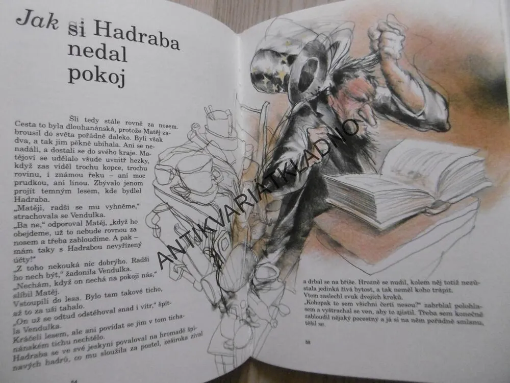 JAK ŠEL MATĚJ DO SVĚTA A ZASE ZPÁTKY, JANA KAŠOVÁ, ZDENĚK NETOPIL, **an