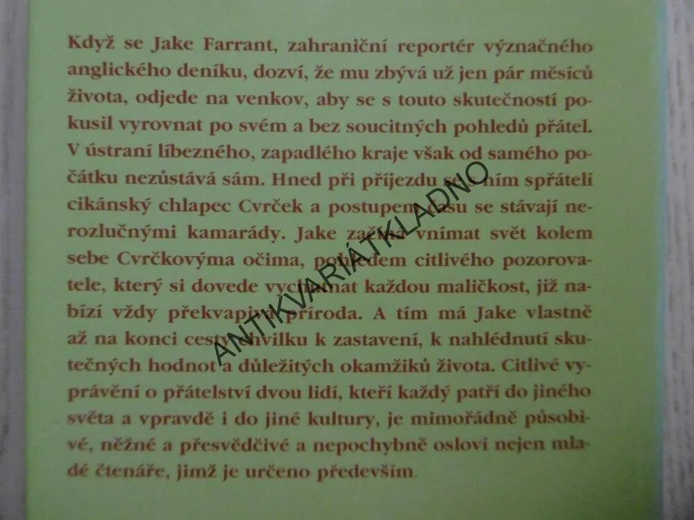 KAMARÁD ZE VZDÁLENÉHO ÚDOLÍ, ELISABETH WEBSTEROVÁ, **an