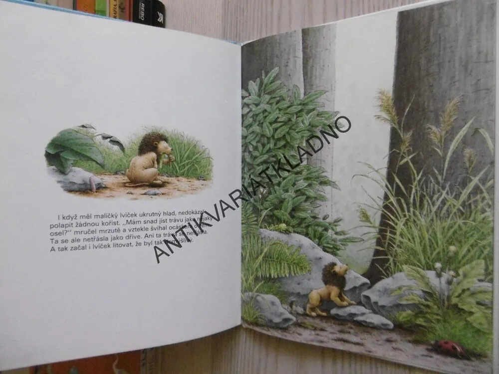 VEVERKA A MALÝ NOSOROŽEC, MISCHA DAMJAN, HANS DE BEER, **an
