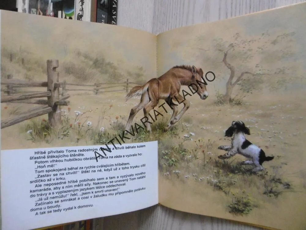KDE NAJDE NOVÉ KAMARÁDY TOM, PŘÍBĚH ŠTĚNĚTE BEZ PÁNA, PETER HOLEINONE, NEMO, 1992, **an
