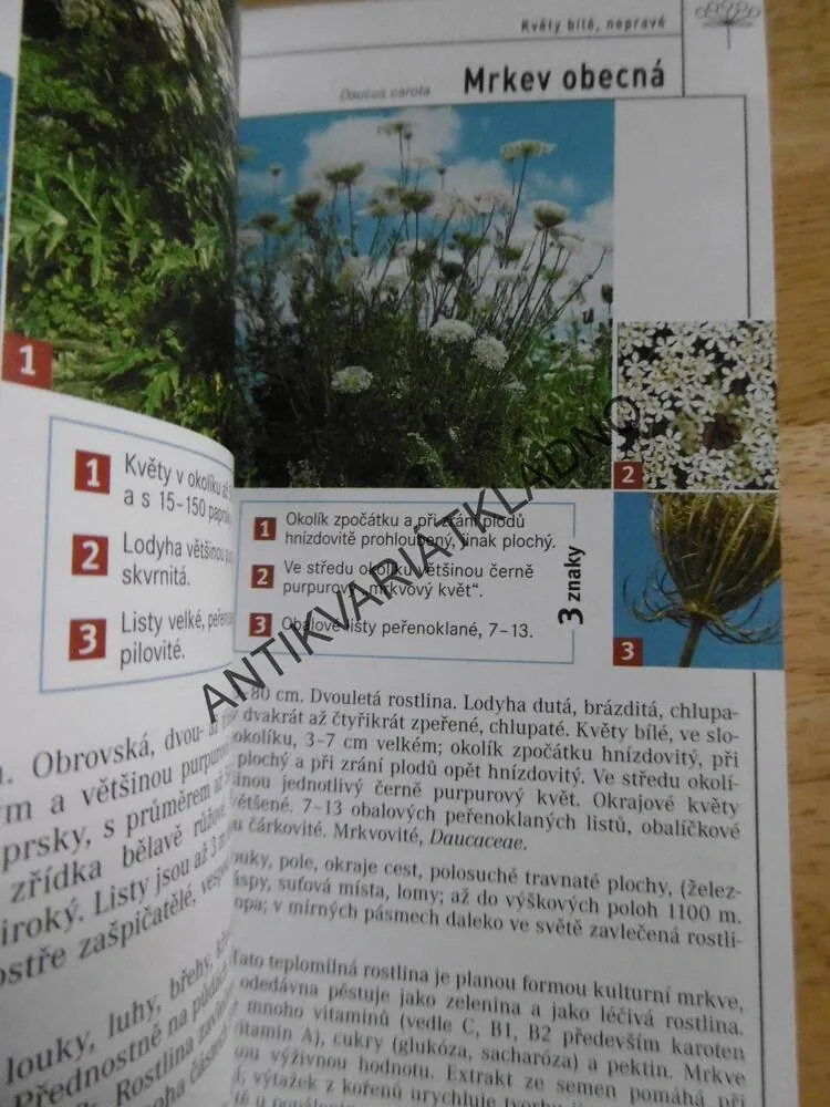 KVĚTINY, PRŮVODCE PŘÍRODOU, URČOVÁNÍ PODLE 3 ZNAKŮ, SEIDEL, HERBÁŘ