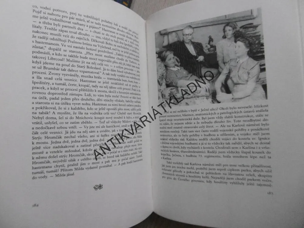 KRONIKA MÉHO ŽIVOTA, JOSEF LADA, 1974, **an