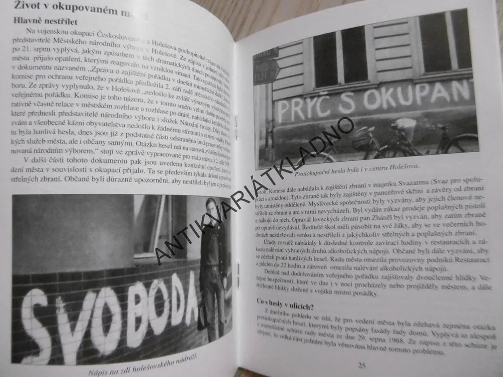 OSMAŠEDESÁTÝ, 7. VÝSADKOVÝ PLUK ZVLÁŠTNÍHO URČENÍ - HOLEŠOV - 1961 - 1969, FRANTIŠEK SOVADINA