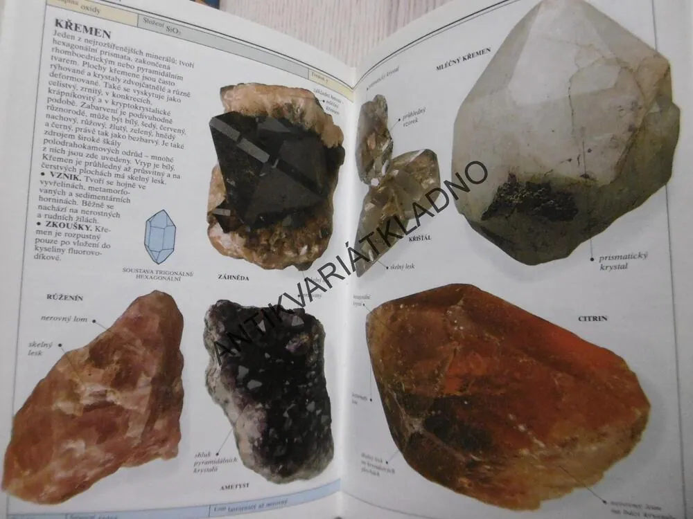 HORNINY A MINERÁLY, CHRIS PELLANT, **an