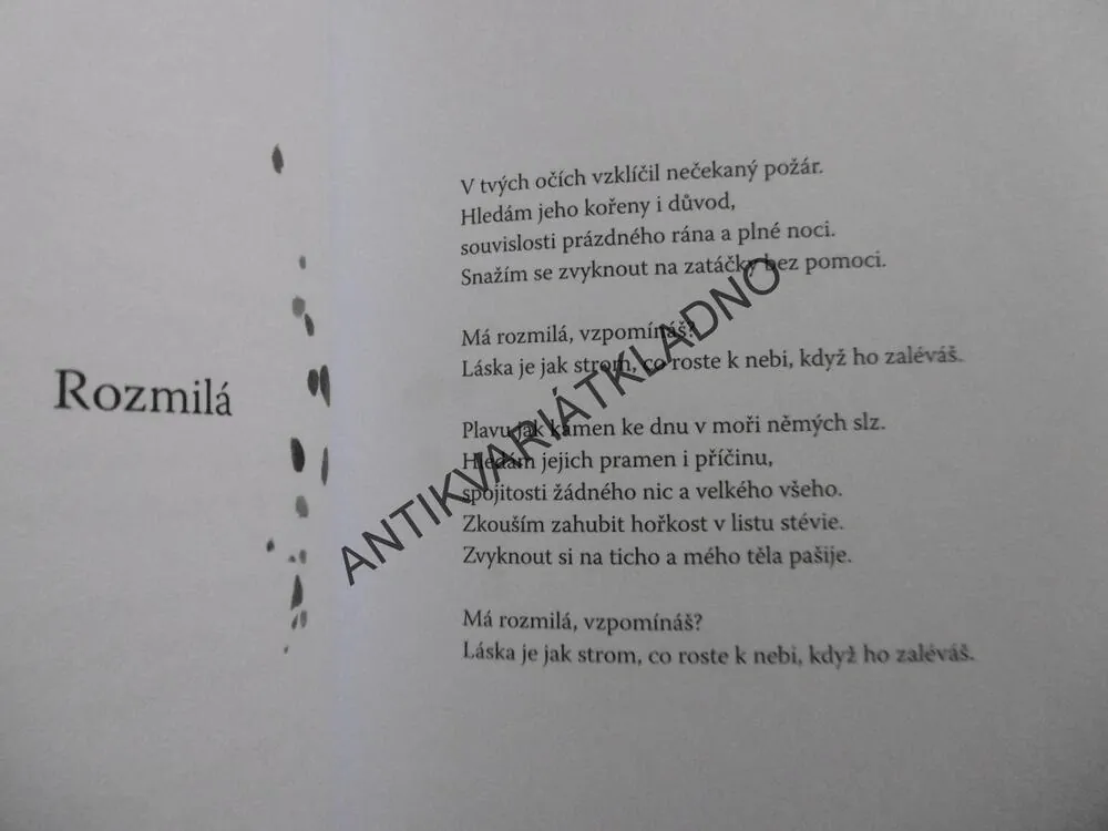 POETICKÉ REZONANCE, ROBERT NEUBERT, **an