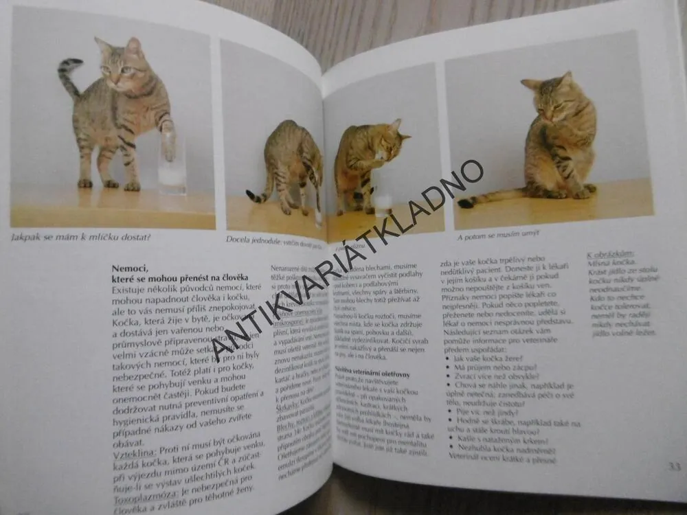 KOČKA, JAK NA TO, KATRIN BEHRENDOVÁ, **an