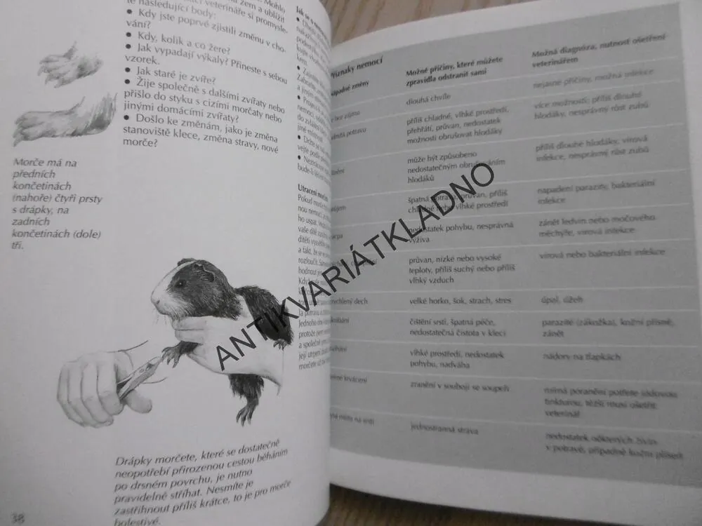 MORČE, KATRIN BEHRENDOVÁ,**an