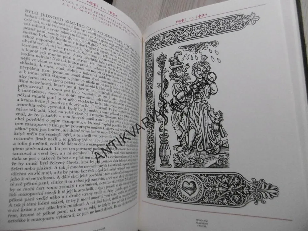 SPISOVÁNÍ SLAVNÉHO FREJÍŘE, ZDEŇKA TICHÁ, **an