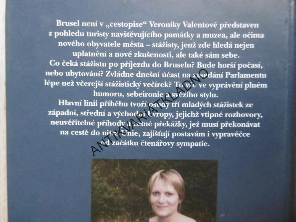 ZMATENÍ JAZYKŮ ANEB BRUSELSKÝ CESTOPIS, VERONIKA VALENTOVÁ, **an