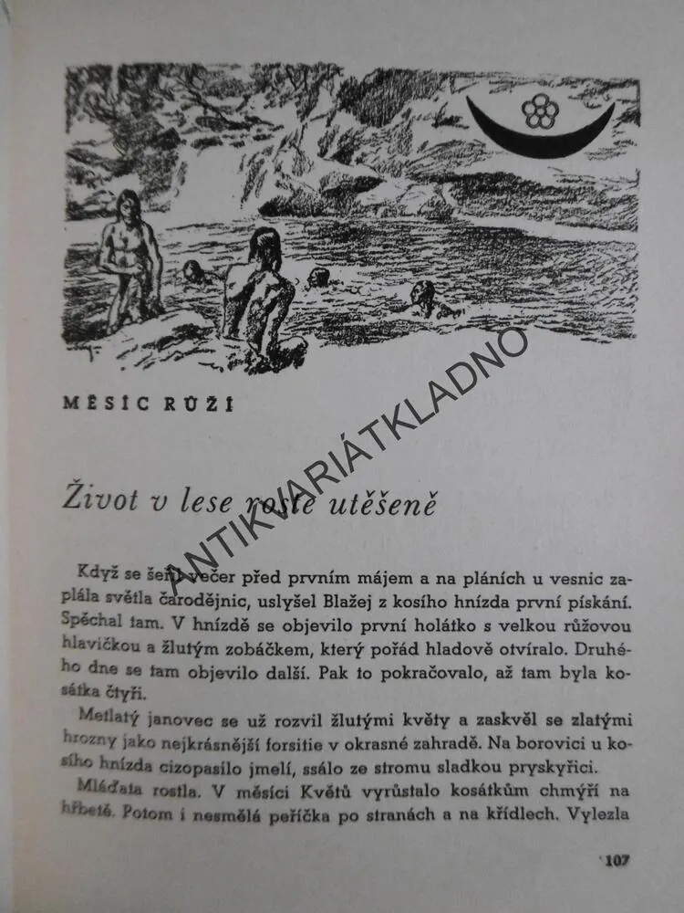 SKAUTSKÝ ROK DRUŽINY KAMZÍKŮ, JOSEF NOVÁK, SKAUT, JUNÁK 1938