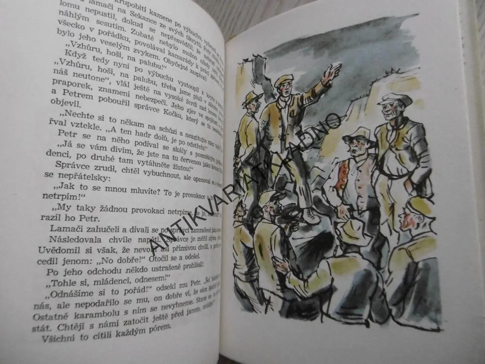 KYTKA ZELENÁ, JAN MORÁVEK, **an