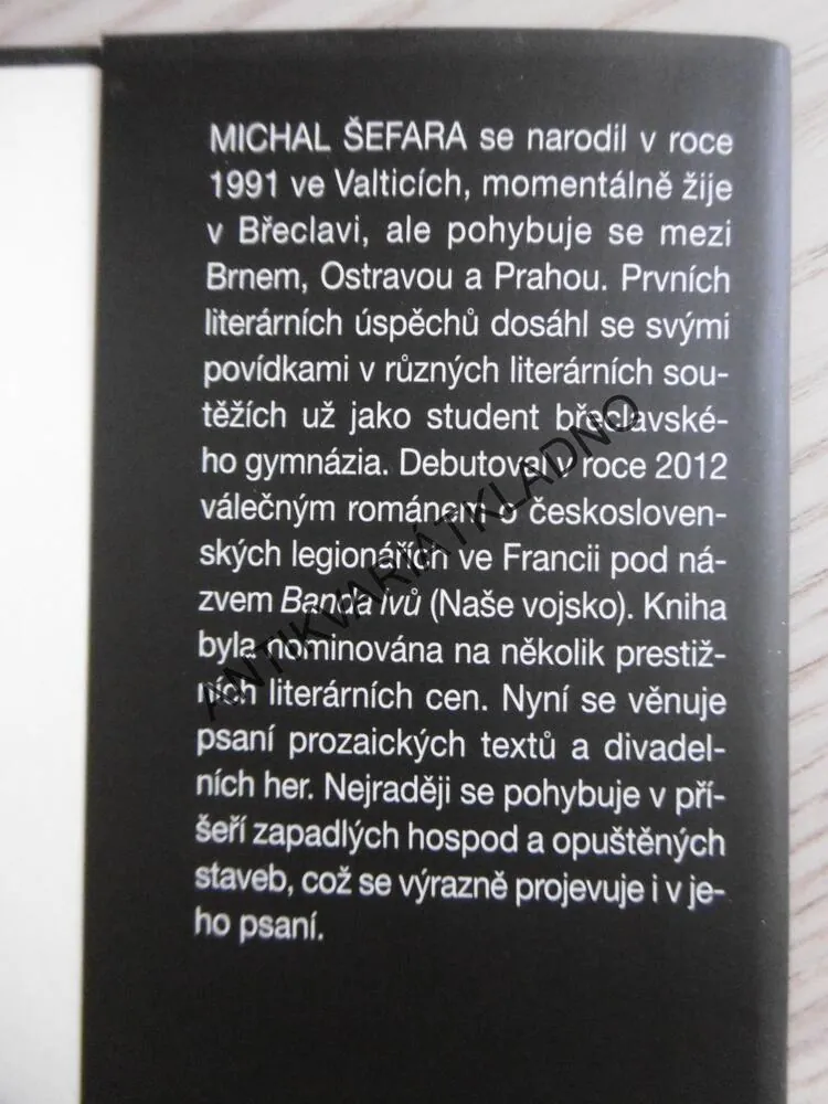 PODSVĚTÍ, MICHAL ŠEFARA, **an