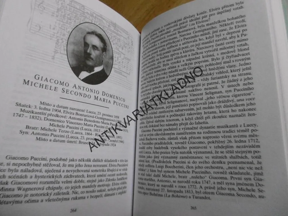 ŽIVOTY, MANŽELKY A LÁSKY, VELKÝCH SKLADATELŮ, FRITZ SPIEGL, HUDBA