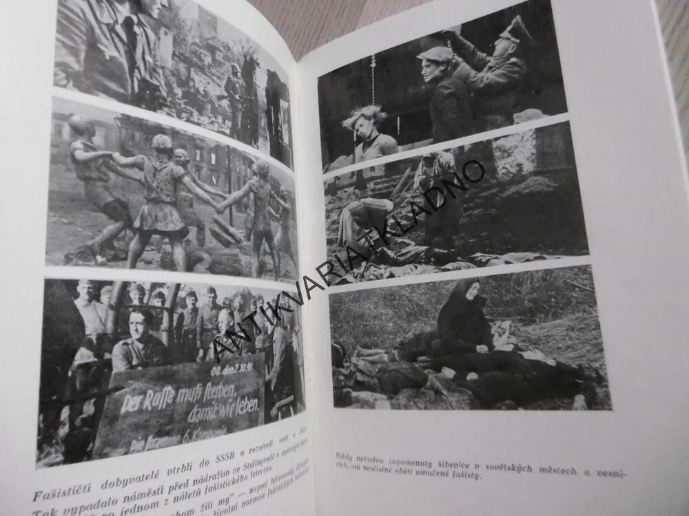 PLÁN BARBAROSSA, L. BEZYMENSKIJ, **an 