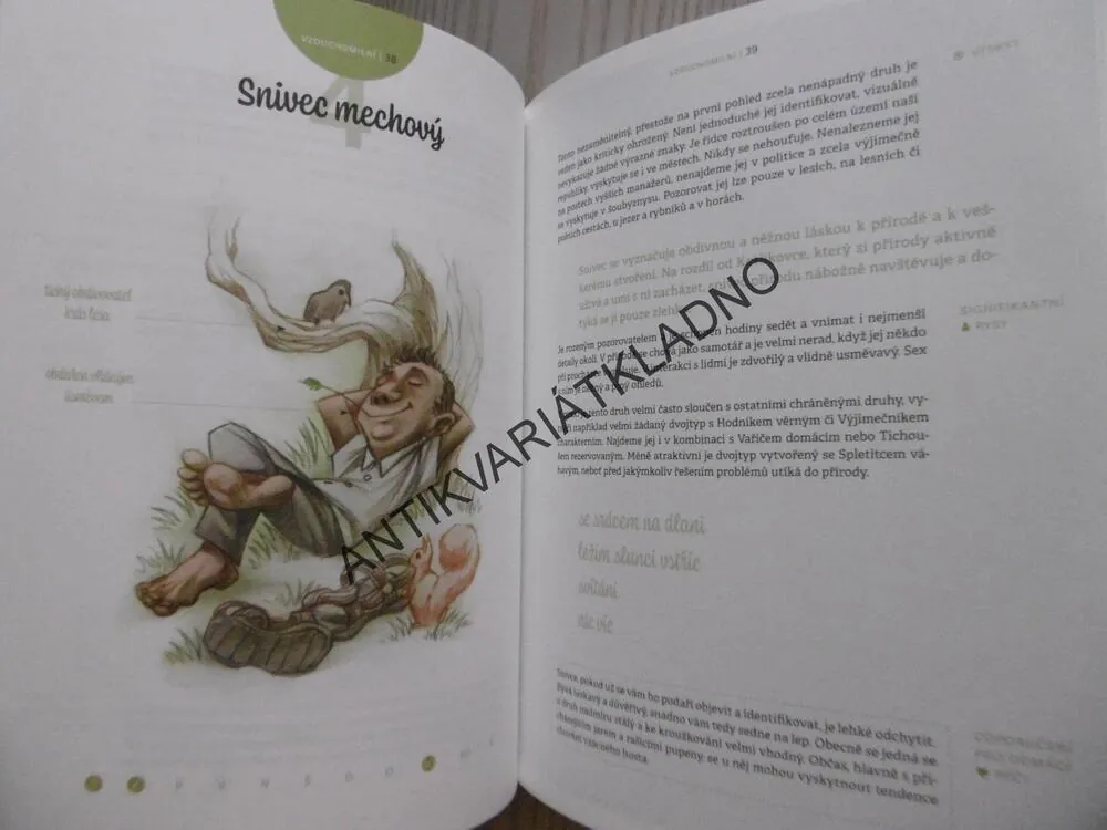 EXPERIMENTÁLNÍ ATLAS MUŽŮ, SYLVA LAUEROVÁ, **an
