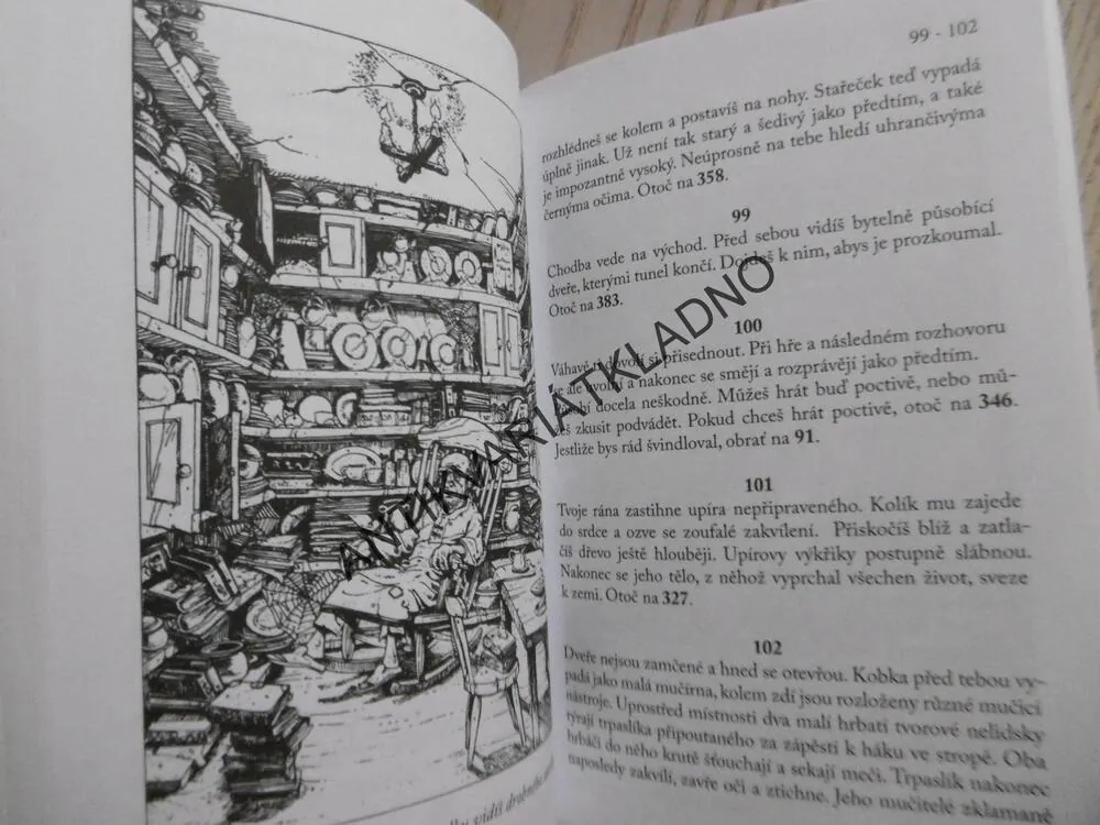 ČARODĚJ Z OHŇOVÉ HORY, STEVE JACKSON, IAN LIVINGSTONE, **an