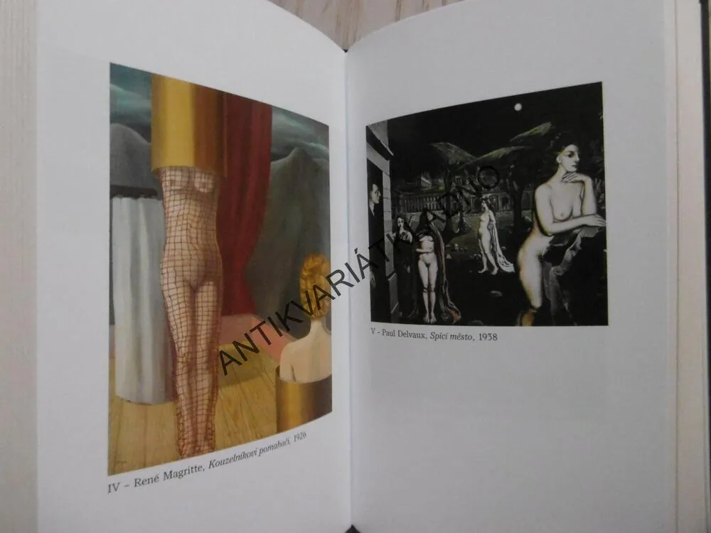 LABYRINTY DUŠE, BÍDA PSYCHOLOGIE, IVO PONDĚLÍČEK, **an